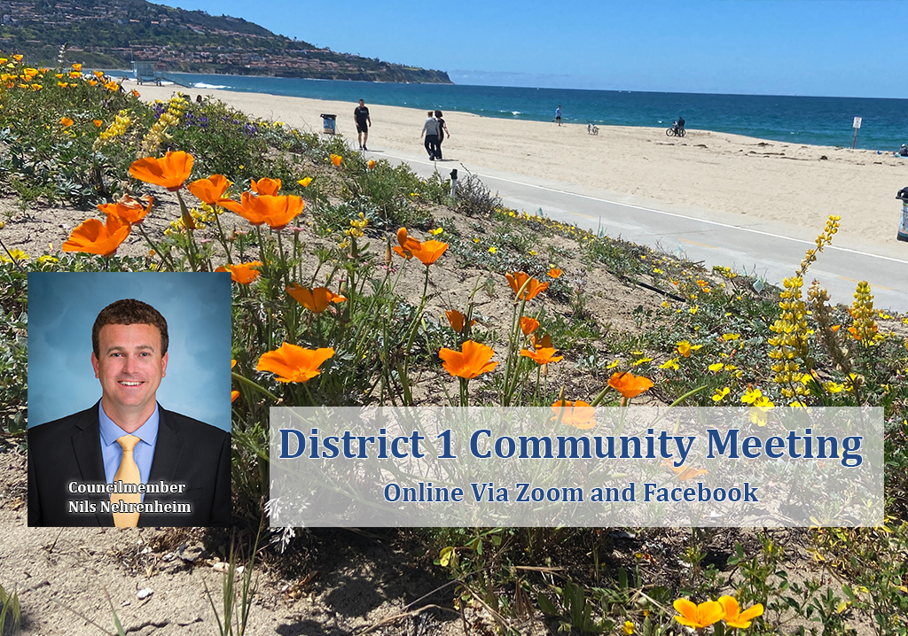 Online Community Meeting via Zoom and Facebook