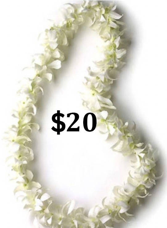 Bill Brand memorial leis supporting the South Bay Parkland Conservancy